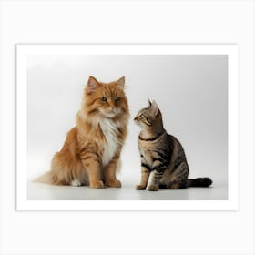 Cats On White 4 Art Print