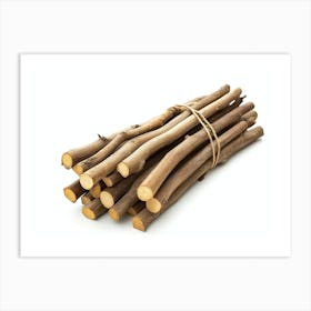 Bundle Of Sticks Art Print