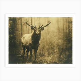 Absurd Bestiary: From Minimalism to Political Satire. Elk In The Woods Art Print