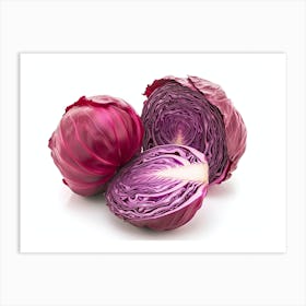 Red Cabbage (12) Art Print