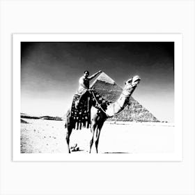 Egyptian Camel Art Print