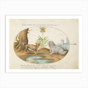 Animalia Qvadrvpedia et Reptilia (c. 1575-1580), Joris Hoefnagel (9) Art Print