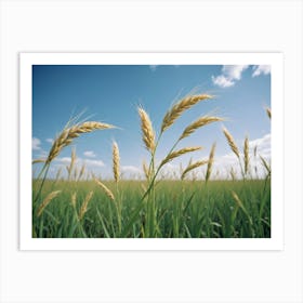 Wheat Field Art Print