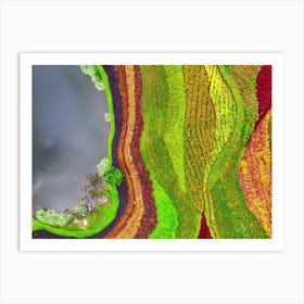 Aerial View Of A Colorful Field Art Print