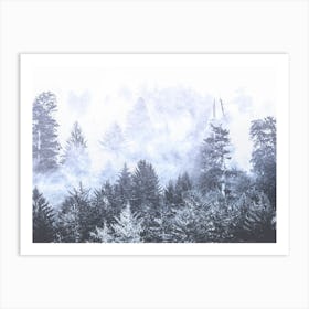 Redwood Forest Fog Blue - National Park Photo Art Print