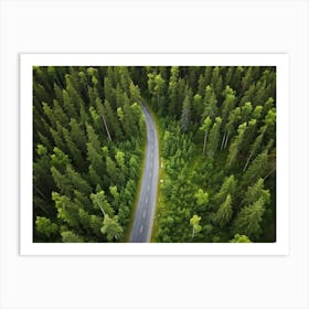 An Aerial View Capturing The Blinding Beauty Of A Life Filled Forest In Sweden Sprawling Spruce And (1) 2 Art Print