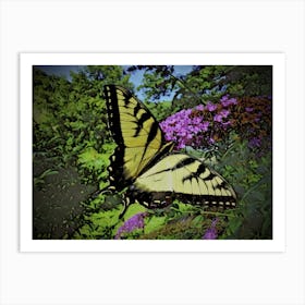 Swallowtail Butterfly Art Print