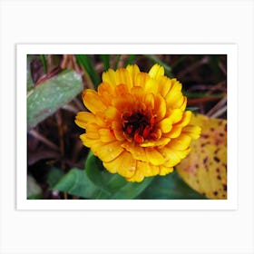 Yellow Flower Art Print