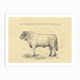 French Beef Butcher Cuts Chart Art Print
