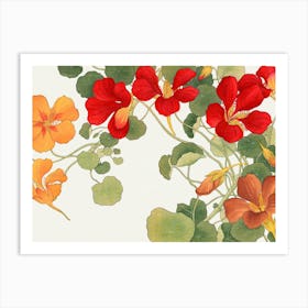 Nasturtiums Art Print