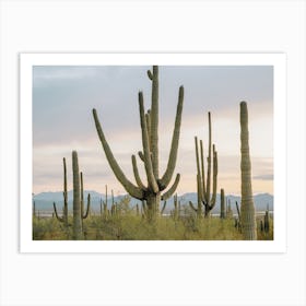 Cactus Filled Desert Art Print