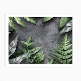 Ferns And Leaves Art Print