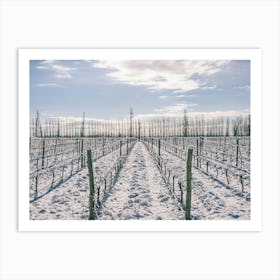 Unitltled 16 - Snow in the Vineyard Series Art Print