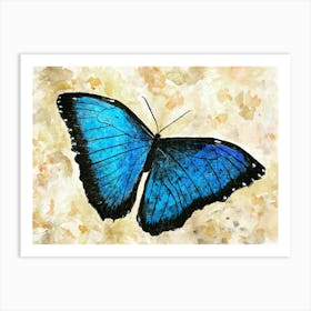 Blue Butterfly in Watercolour, Acrylic and Ink Art Print