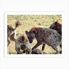 Fresh Hyenas Kill On The Serengeti, Tanzania (Africa Series) Art Print