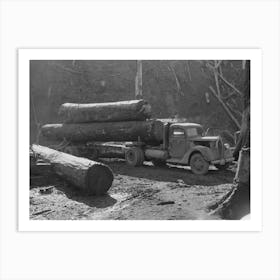 Loading Logs Onto Truck, Tillamook County, Oregon By Russell Lee Art Print