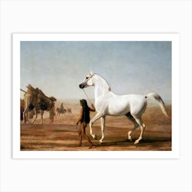 Vintage White Horse And A Man Art Print