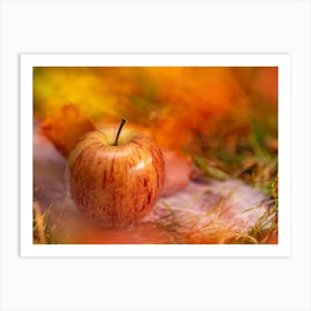 Autumn Apple On The Grass Art Print