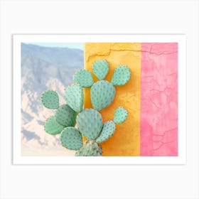 California Dreaming - Cactus Colorwall Art Print