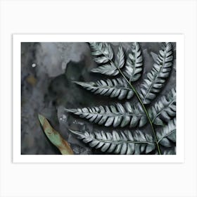 Fern Leaf 1 Art Print