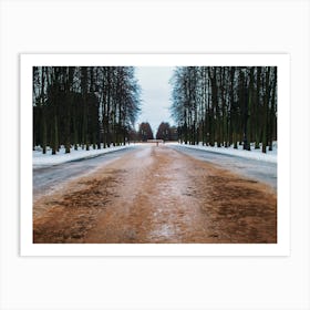 Snowy Road Art Print