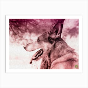 Dog Looking 2020060633rt1pub Art Print