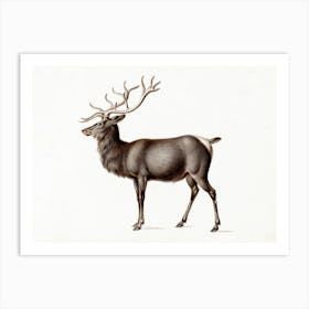 Vintage Deer Art Print