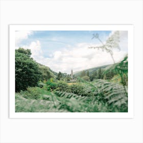 Killarney National Park, Ireland Art Print