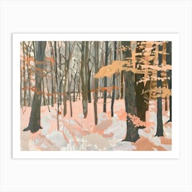 Winter Woods Art Print