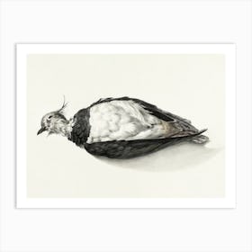 Dead Lapwing, Jean Bernard Art Print