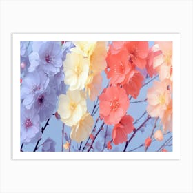 Cherry Blossoms 2 Art Print