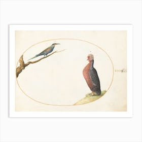 Flying And Amphibious Animals, Joris Hoefnagel 1 Art Print