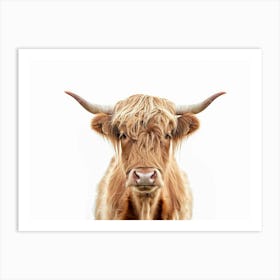 Highland Cow 1 Art Print