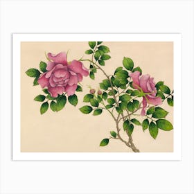 Chinese Roses Art Print