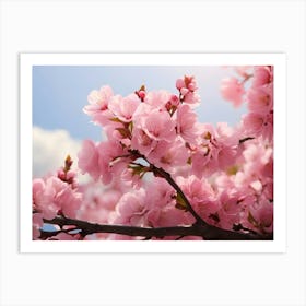 Cherry Blossoms In Spring Art Print