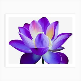 Lotus Flower 1 Poster