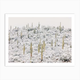 Snowy Cactus Hill Art Print