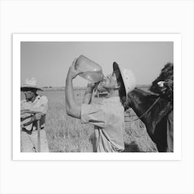 Rice Farmer Drinking In The Fields, Crowley, Louisiana By Russell Lee Art Print