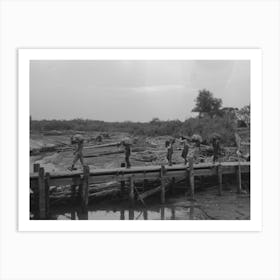 Untitled Photo, Possibly Related To Unloading Oysters From Packet Boat Arriving At New Orleans, Louisiana By Art Print