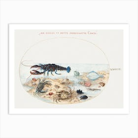 Lobster, Crabs, Scallop Shells And Other Sea Life (1575–1580), Joris Hoefnagel Art Print