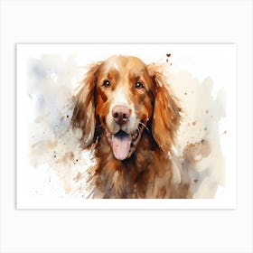 Irish Setter Art Print