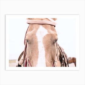 Western Horse Art Print