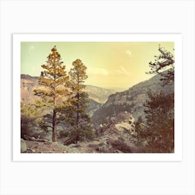 Retro Wooded Pines 5 Art Print