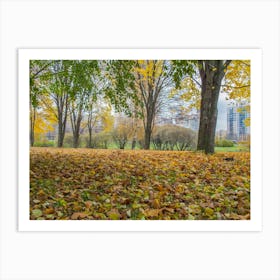 Autumn Leaves In The Park Art Print