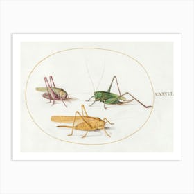 Three Grasshoppers (1575–1580), Joris Hoefnagel Art Print