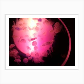 Neon jellyfish  Art Print