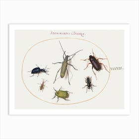 A Golden Bloomed Gray Longhorn, Tansy Beetle, Cockroach, Leaf Footed Bug, And Other Insects (1575–1580), Joris Hoefnagel Art Print