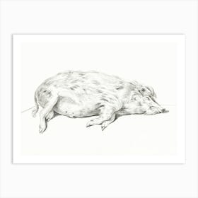 Lying Pig, Jean Bernard Art Print