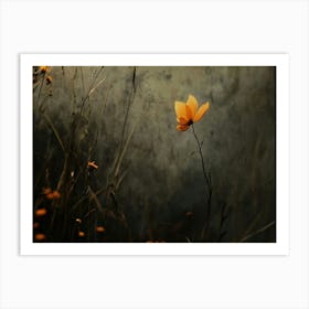 Single Flower In A Field Art Print