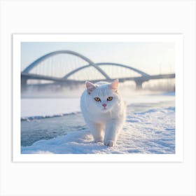 White Cat In Winter Art Print